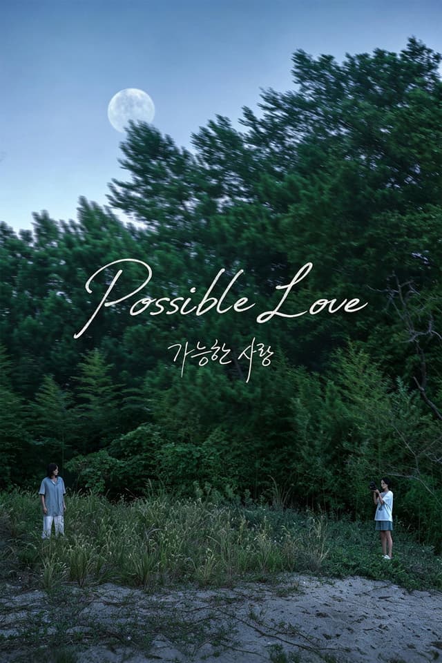 Possible Love poster