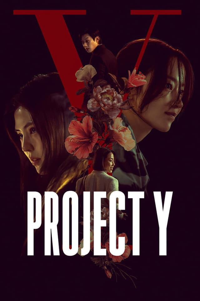 Project Y poster